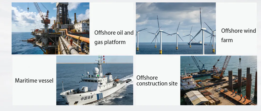 Application Scenarios of Offshore PAGA Systems
